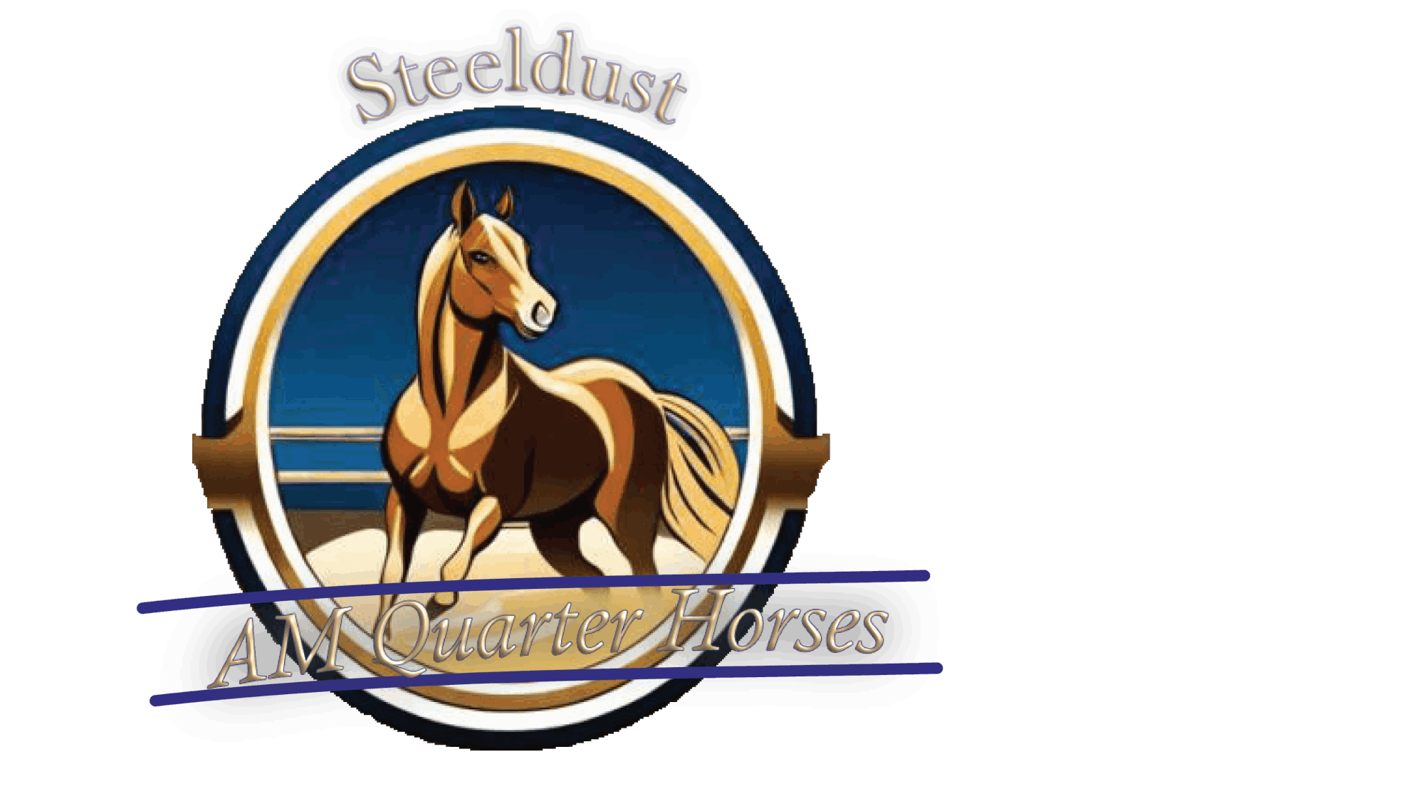 AM Quarter Horses | Westernreiten | Zucht | Pferdetraining | Informationen